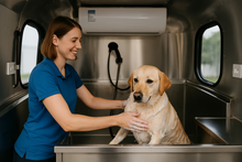 Charger l'image dans la galerie, Remorque toilettage canine 