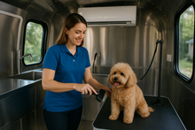 Charger l'image dans la galerie, Remorque toilettage canine 